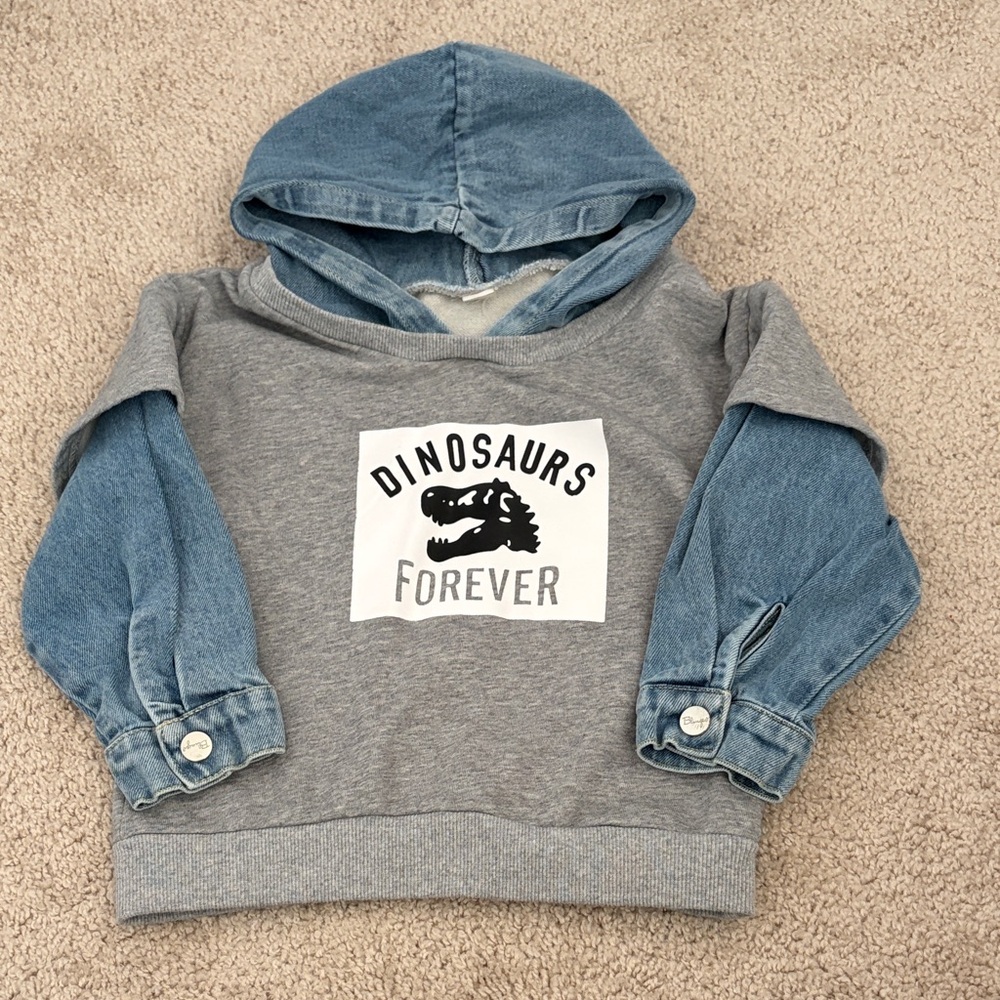 SHEIN Gray and Blue Dinosaurs Forever Hoodie